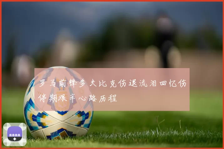 罗马前锋多夫比克伤退流泪回忆伤停期艰辛心路历程